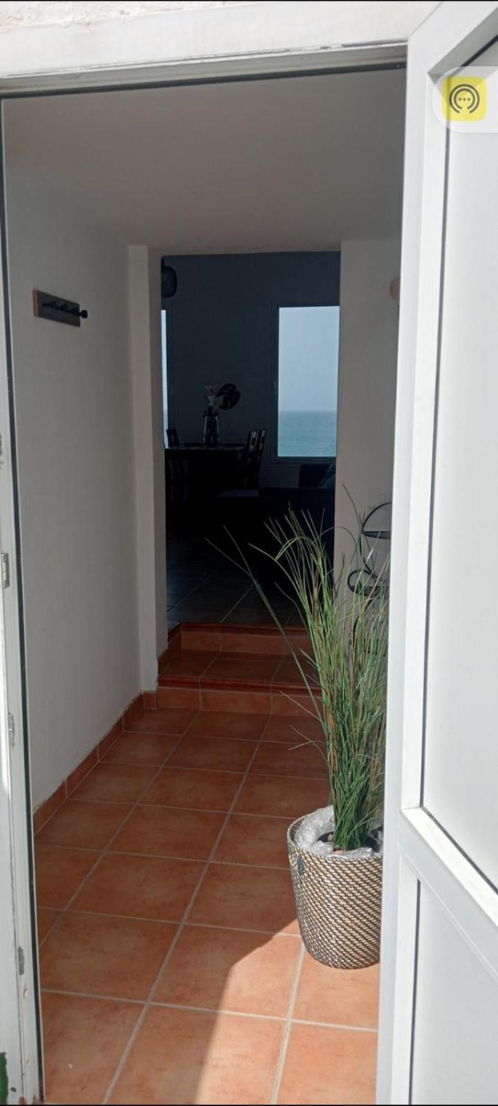 Apartament Piso Magico Junto Al Mar Con Gran Terraza Santa Maria de Guia de Gran Canaria Zewnętrze zdjęcie